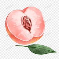 黄色直播软件APP应用